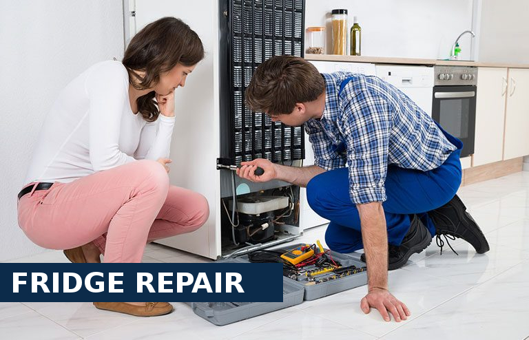 Fridge Repair Chingford